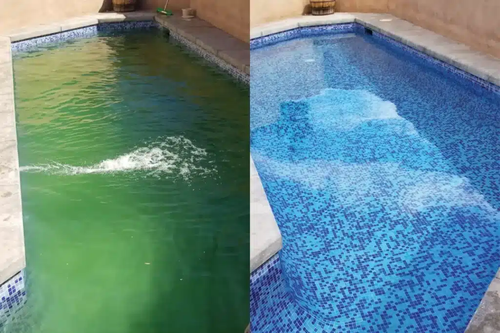 green to clean pool service perth