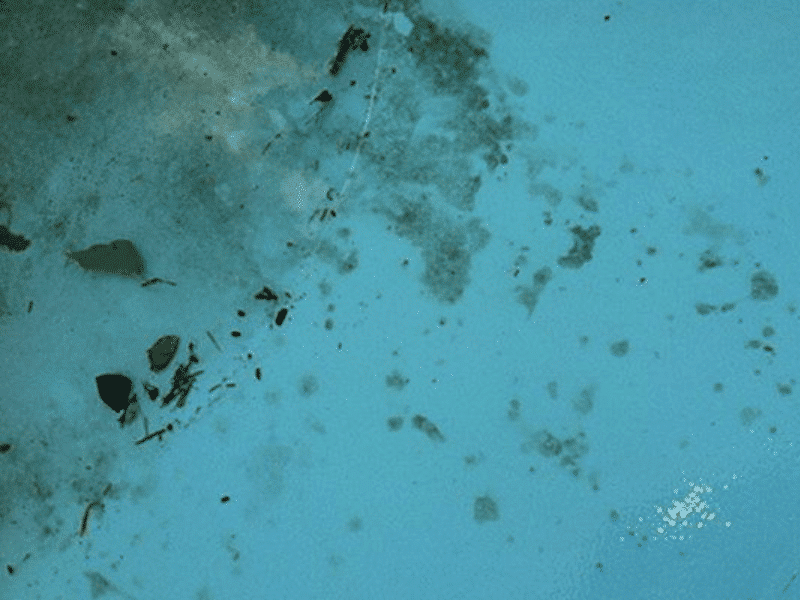 pool stain removal perth